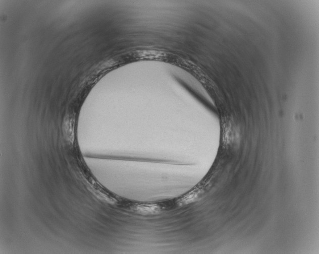 X0000084040666200703022150