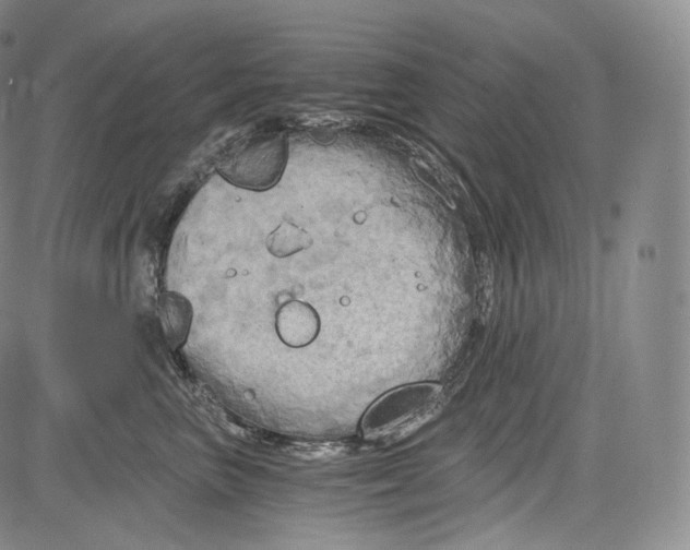 X0000084040667200703022150