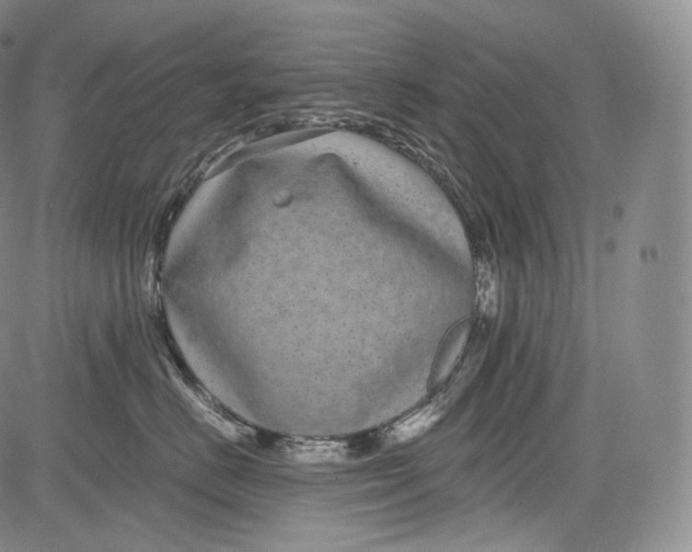 X0000084040670200703022150