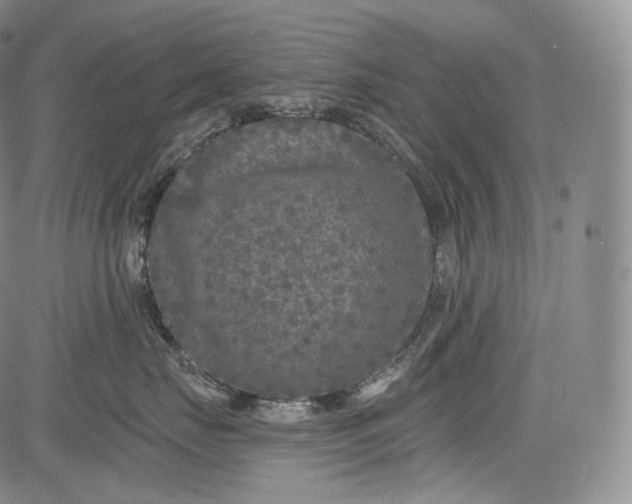 X0000084040671200703022150