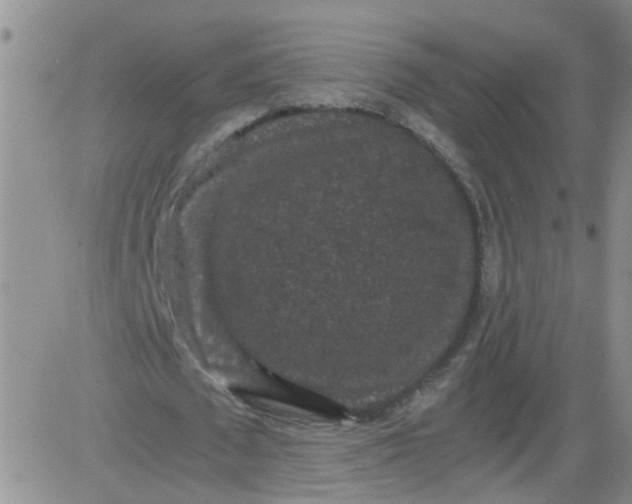 X0000084040673200703022149