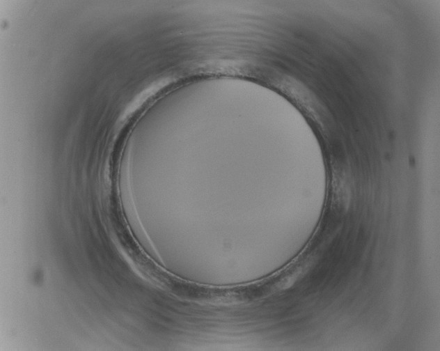 X0000084040674200703022149