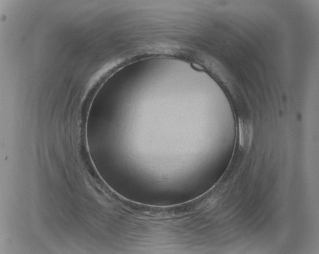 X0000084040675200703022149