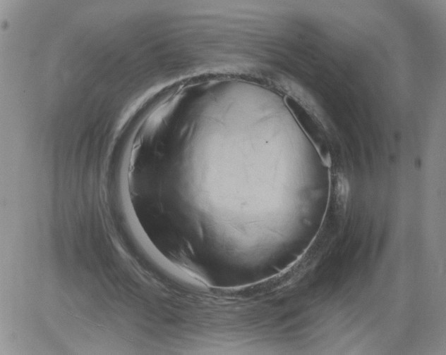 X0000084040676200703022149