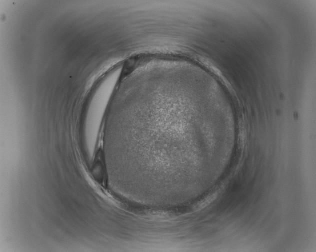 X0000084040677200703022149