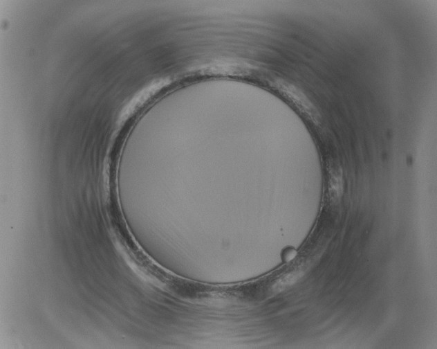 X0000084040678200703022149