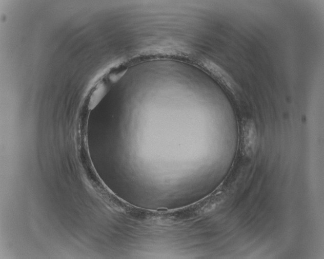 X0000084040680200703022149