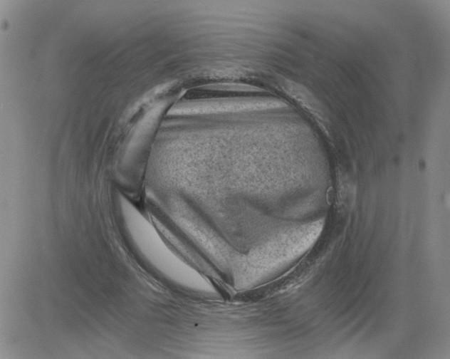 X0000084040681200703022149