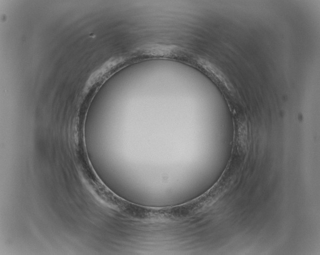 X0000084040682200703022149