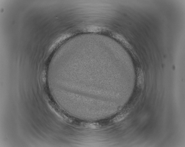 X0000084040683200703022149