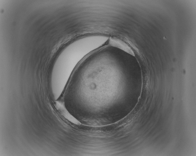 X0000084040685200703022149