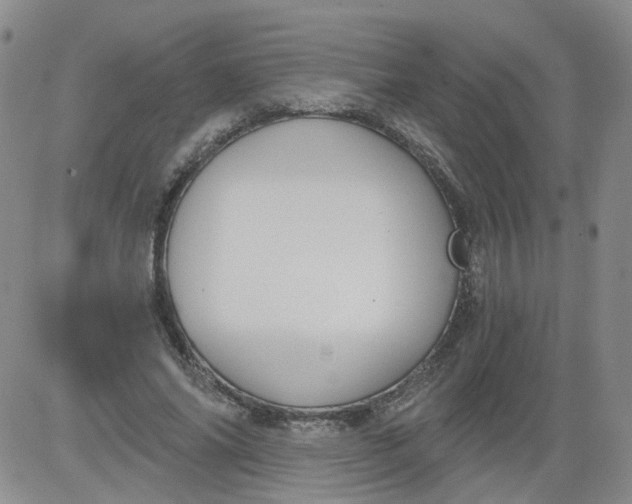 X0000084040686200703022149