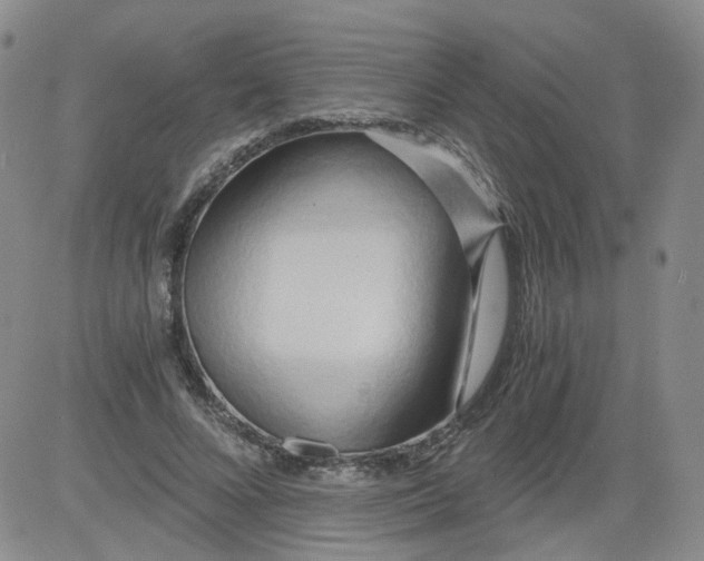 X0000084040688200703022149