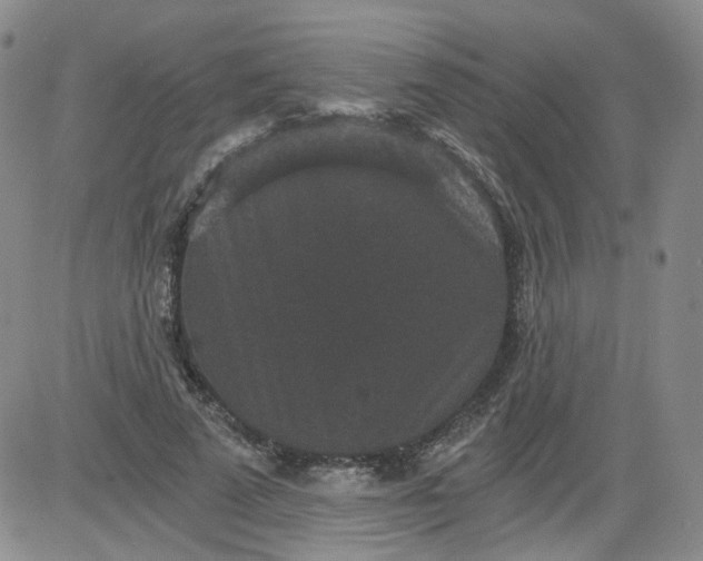 X0000084040689200703022149