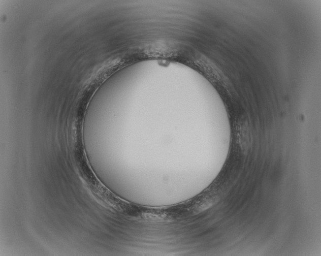 X0000084040690200703022149