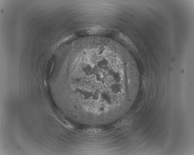 X0000084040691200703022149