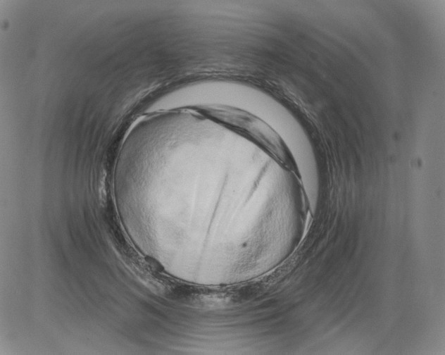 X0000084040692200703022149