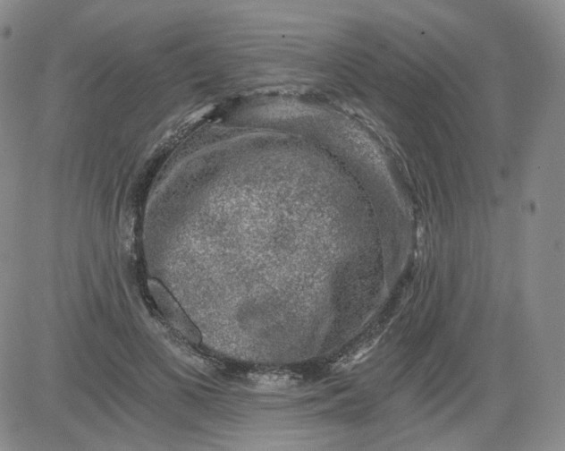 X0000084040693200703022149