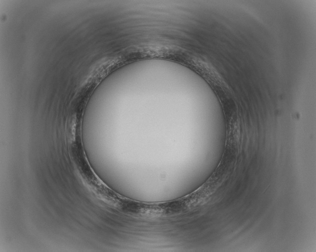 X0000084040694200703022149