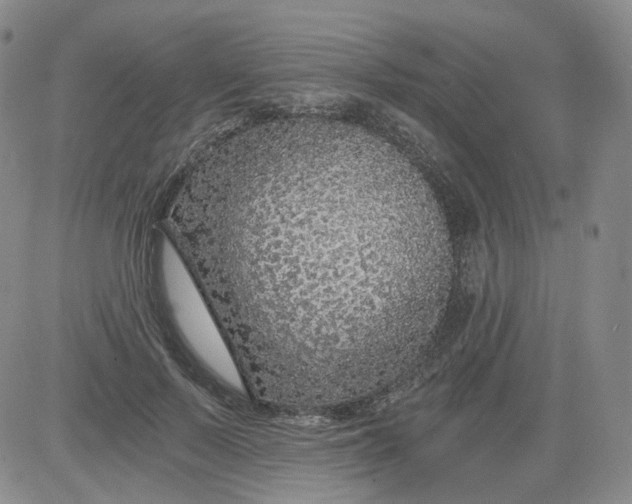 X0000084040695200703022149