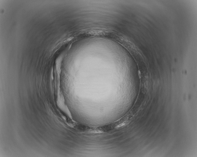 X0000084040696200703022149