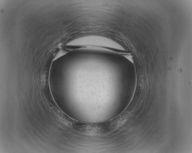 X0000084040697200703022149