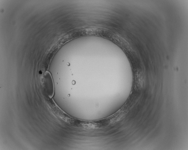 X0000084040698200703022149