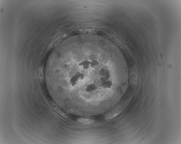 X0000084040699200703022149