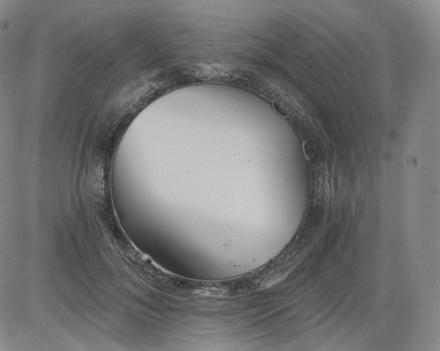 X0000084040700200703022149