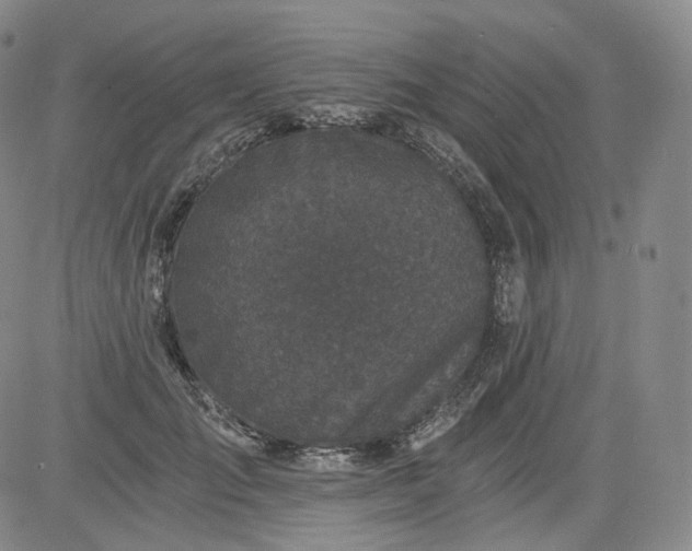 X0000084040701200703022149