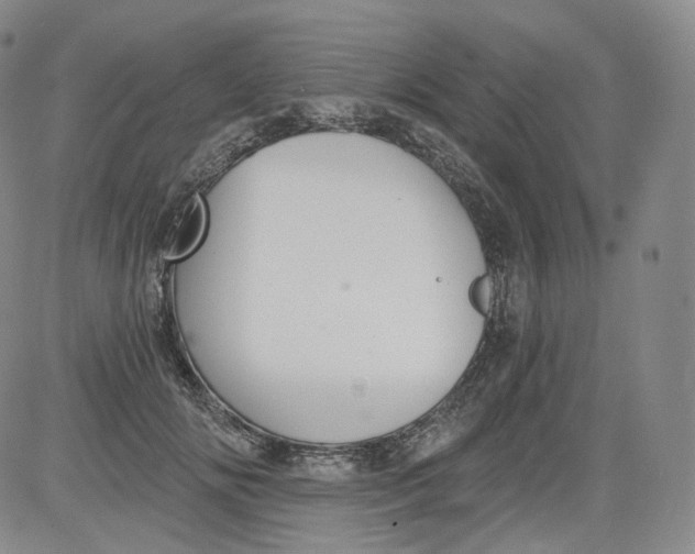 X0000084040702200703022149