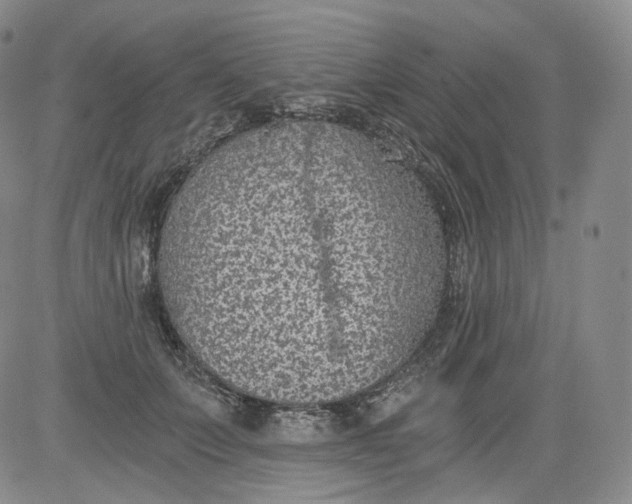 X0000084040703200703022149