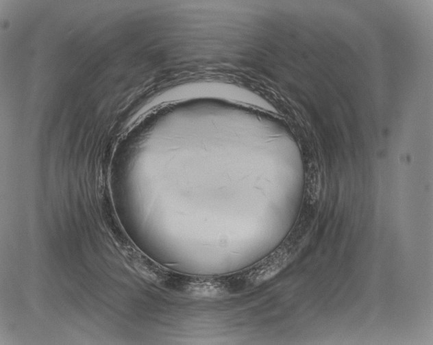 X0000084040704200703022149