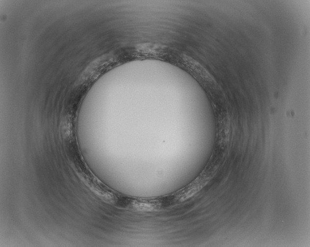 X0000084040706200703022149