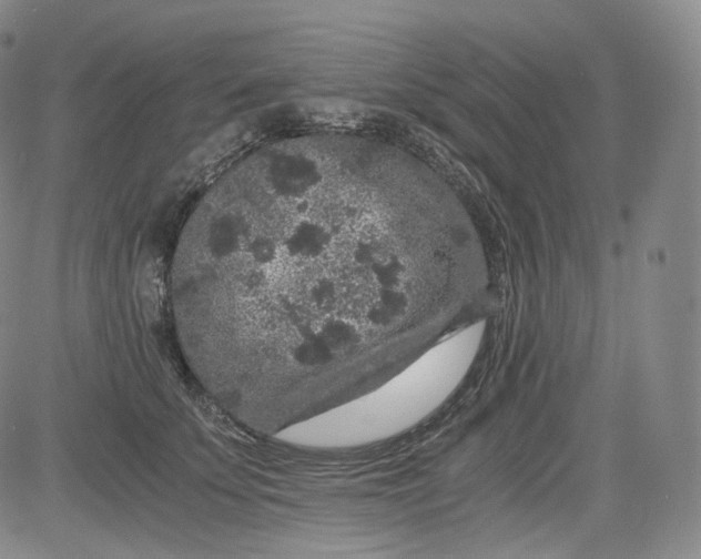 X0000084040707200703022149