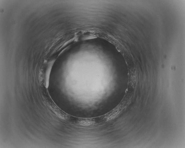 X0000084040708200703022149