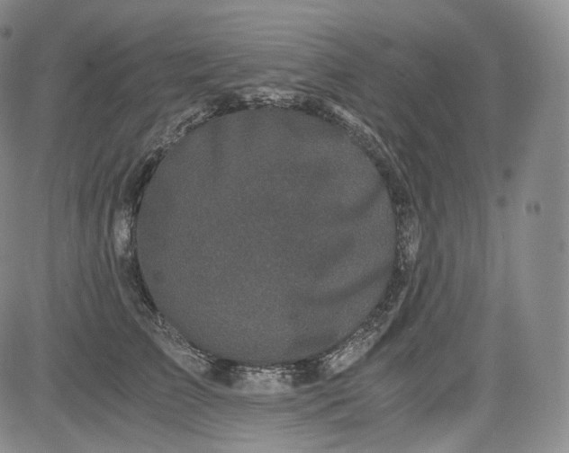 X0000084040709200703022149