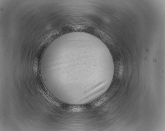 X0000084040710200703022149