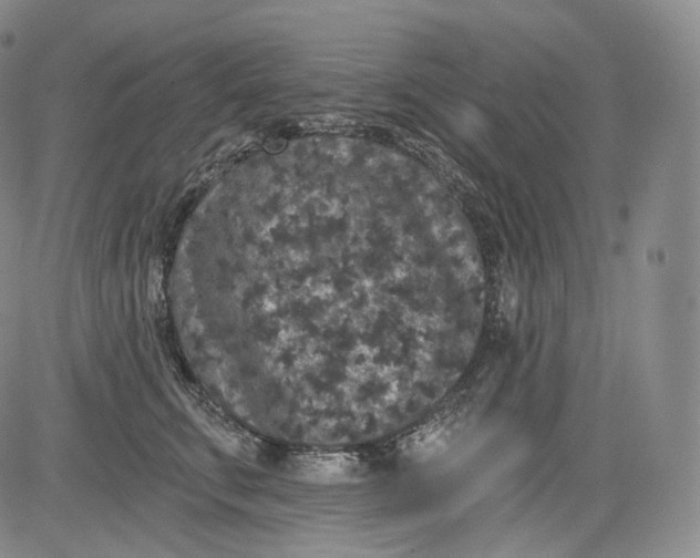 X0000084040711200703022149