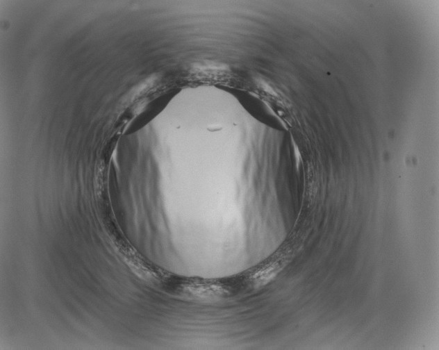 X0000084040712200703022149