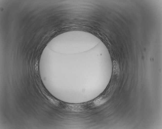 X0000084040713200703022149