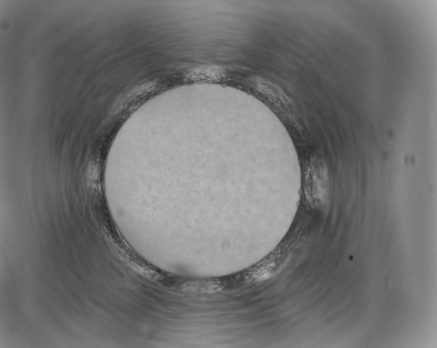 X0000084040714200703022149