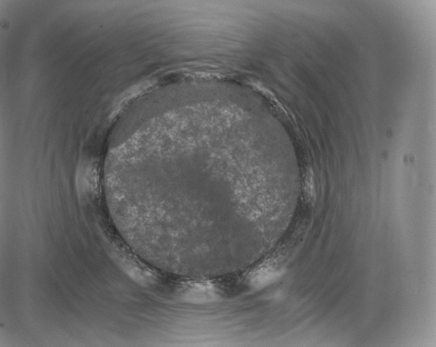 X0000084040715200703022149