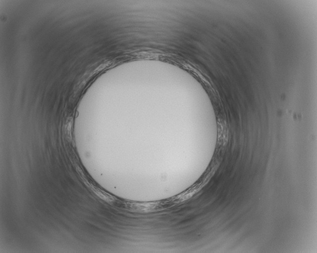 X0000084040717200703022149