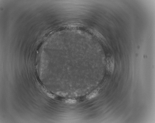 X0000084040718200703022149