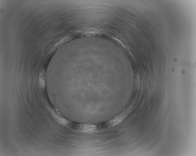 X0000084040719200703022149