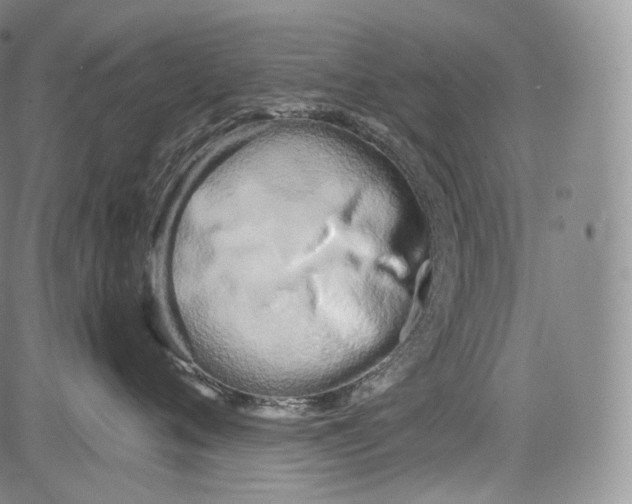 X0000084040720200703022149