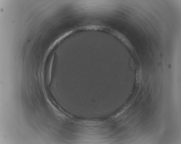 X0000084040722200703022148