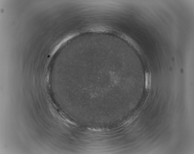 X0000084040723200703022148