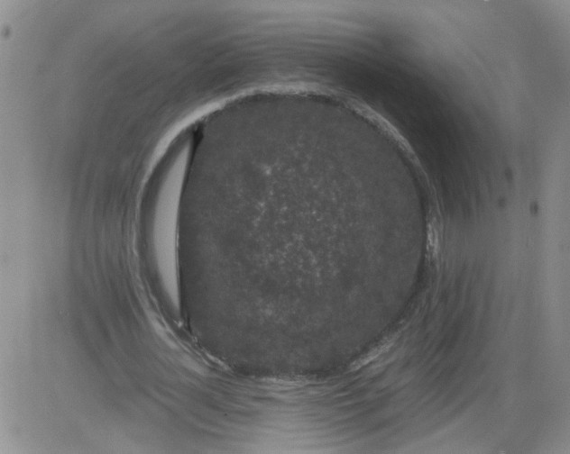 X0000084040724200703022148